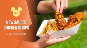 New Sauced chicken strips