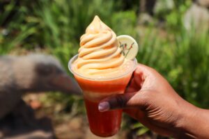 Raspberry dole whip 2026 Disney's Animal Kingdom