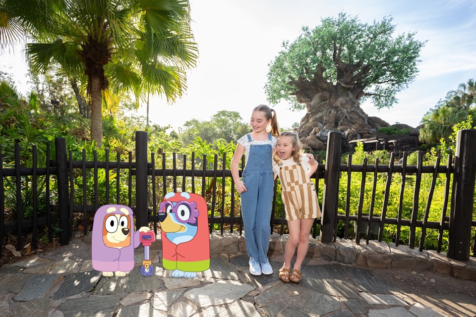 Bluey Magic Shot at Disney's Animal Kingdom
