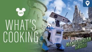 New Mandalorian and Grogu Foods