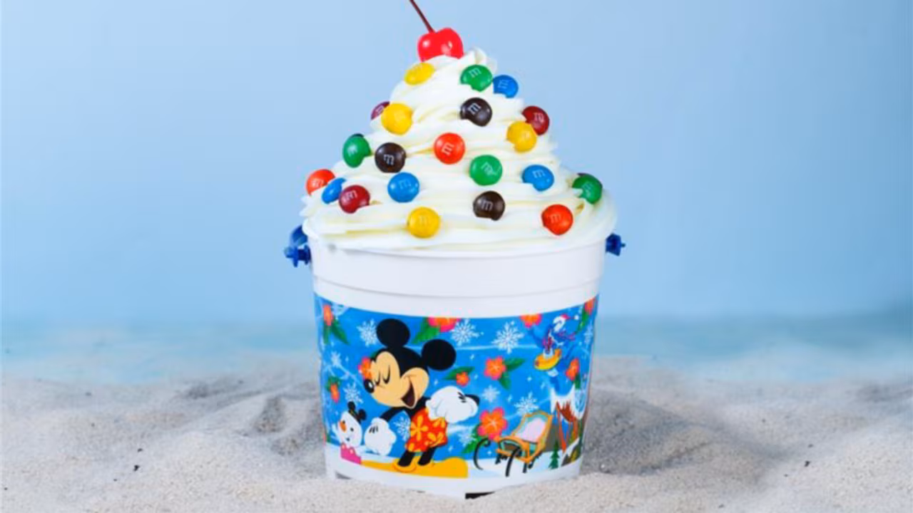 Disney Water Parks Ice Cream