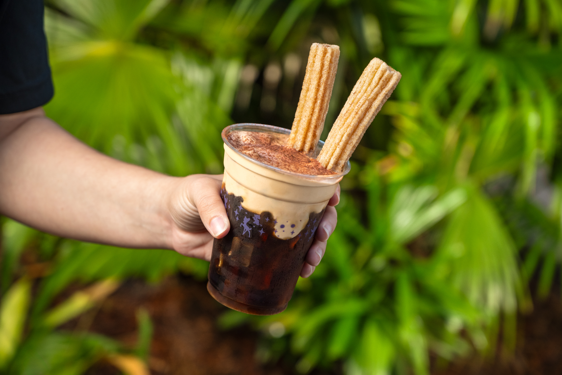 Churro-misu Cold Brew WDW
