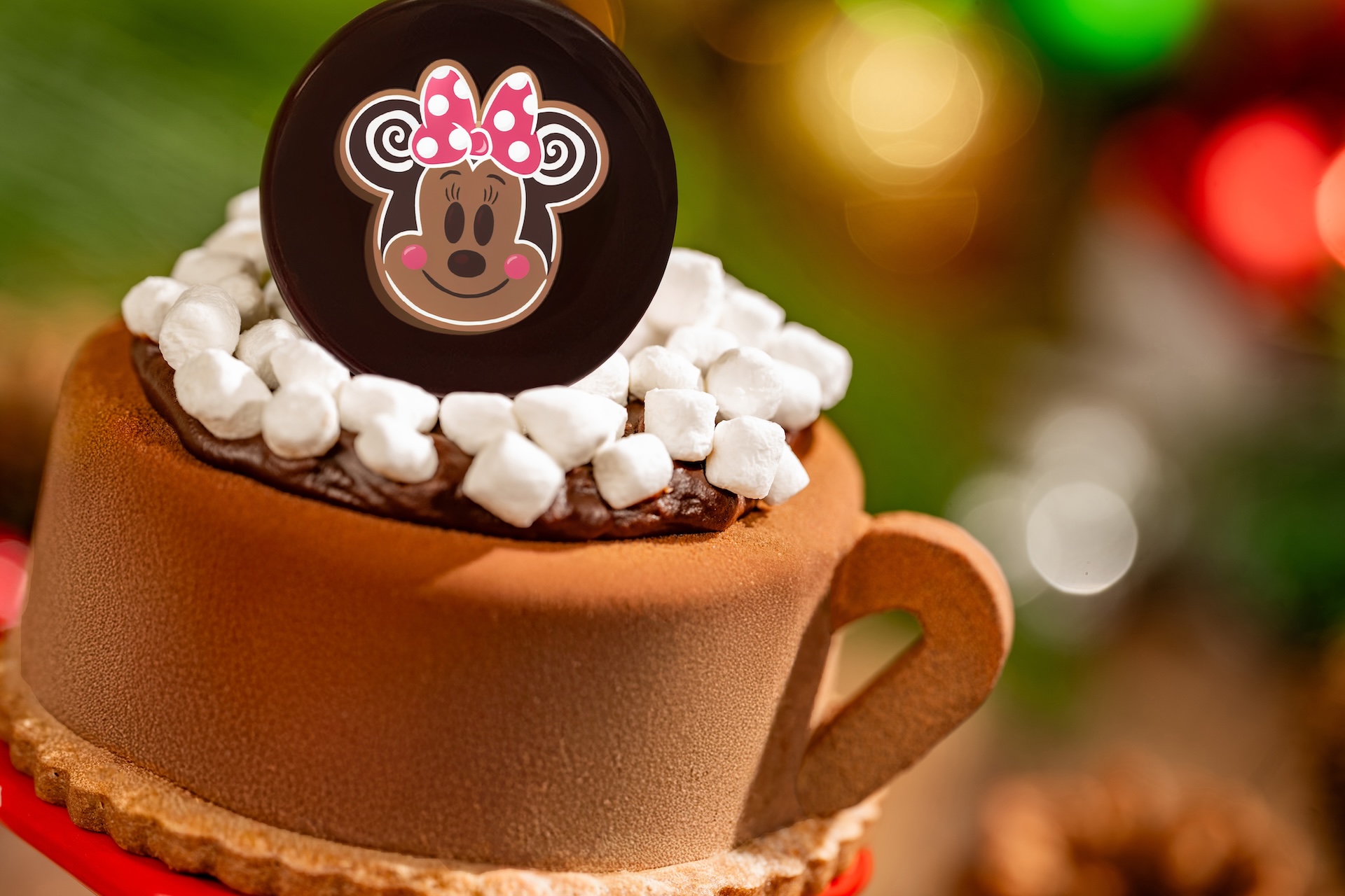Minnie's Cocoa Cake